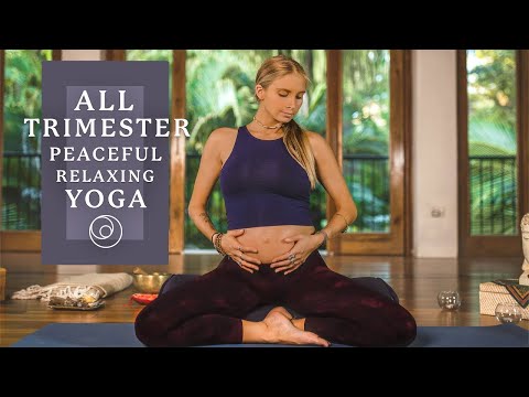 Beautiful Beginner Yoga  Hatha Class For Everyone Tofino