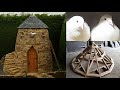 HOW TO BUILD A HOUSE FOR PIGEONS - REVISITING THE PIGEON LOFT