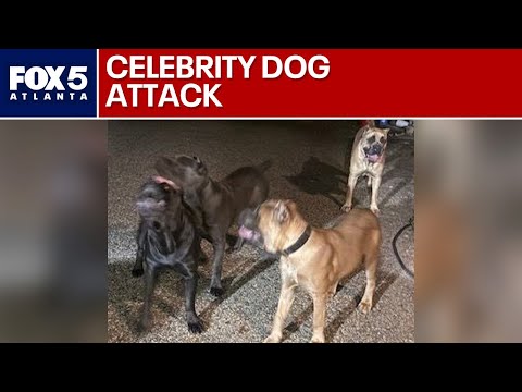Police: Tyrese Gibson's dogs attack, kill neighbor’s dog | FOX 5 News