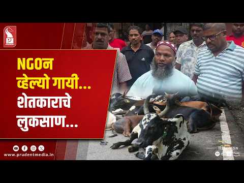 Six Months On, Farmer Seeks Return Of Eight Cows Taken Away By NGO