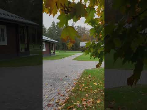 Купить коттедж, д. Костеневичи, ул. Центральная, 6 (Вилейский р-н, Минская область)