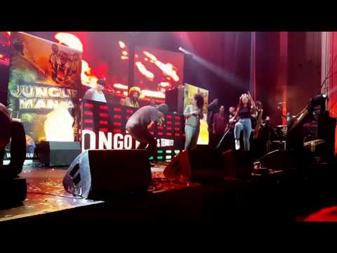 Congo Natty & Tenor Fly Jungle Mania Coronet London