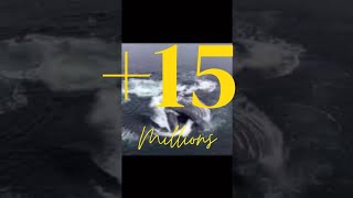 the real sound of the humpback whale