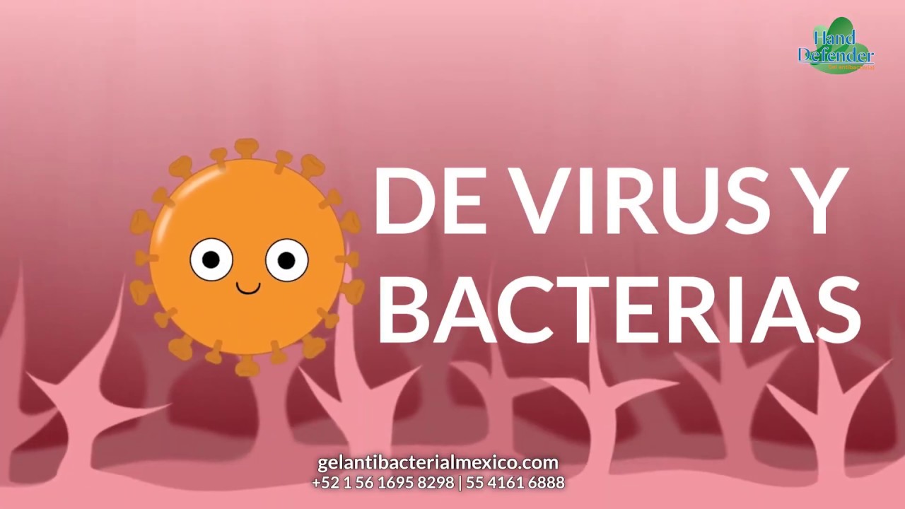 GEL ANTIBACTERIAL 70% alcohol - Que contiene el gel antibacterial