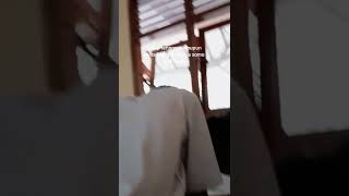 Download lagu STORY WA 15 DETIK TERBARU!!! STORY YDX !!!STORY WA TERBARU#storywa#shorts#storywa30detik mp3 Download lagu STORY WA 15 DETIK TERBARU!!! STORY YDX !!!STORY WA TERBARU#storywa#shorts#storywa30detik mp3