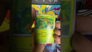 Daily Pack Opening 316: Pitch Black #pokemontcg #pokemon #pokemoncommunity #pokemoncards