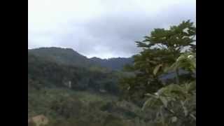 preview picture of video 'Doi Chiang Dao   Thailand'