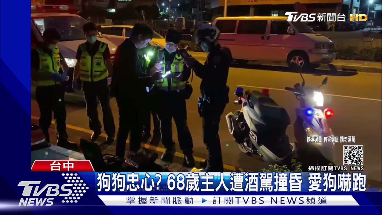狗狗忠心？68歲主人遭酒駕撞昏　愛狗嚇跑