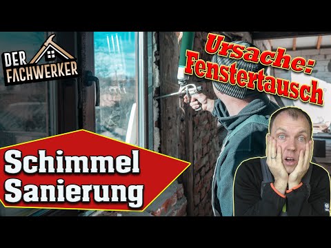 Altbau + neue Fenster = Schimmel? (Ein lösbares Problem)