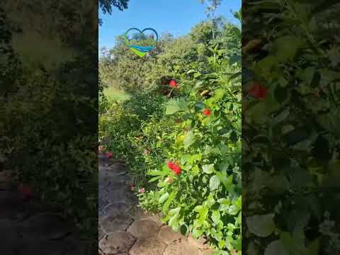 Entrando no paraíso Lagoa Santa Goiás #interiordegoias #águastermais #balneários #nature #turismo