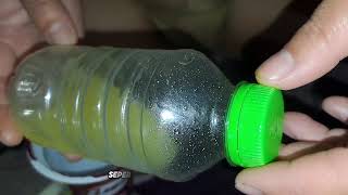 Download lagu DO NOT IMITATE THIS VIDEO BECAUSE YOU WILL BE ADDICTED TO IT mp3