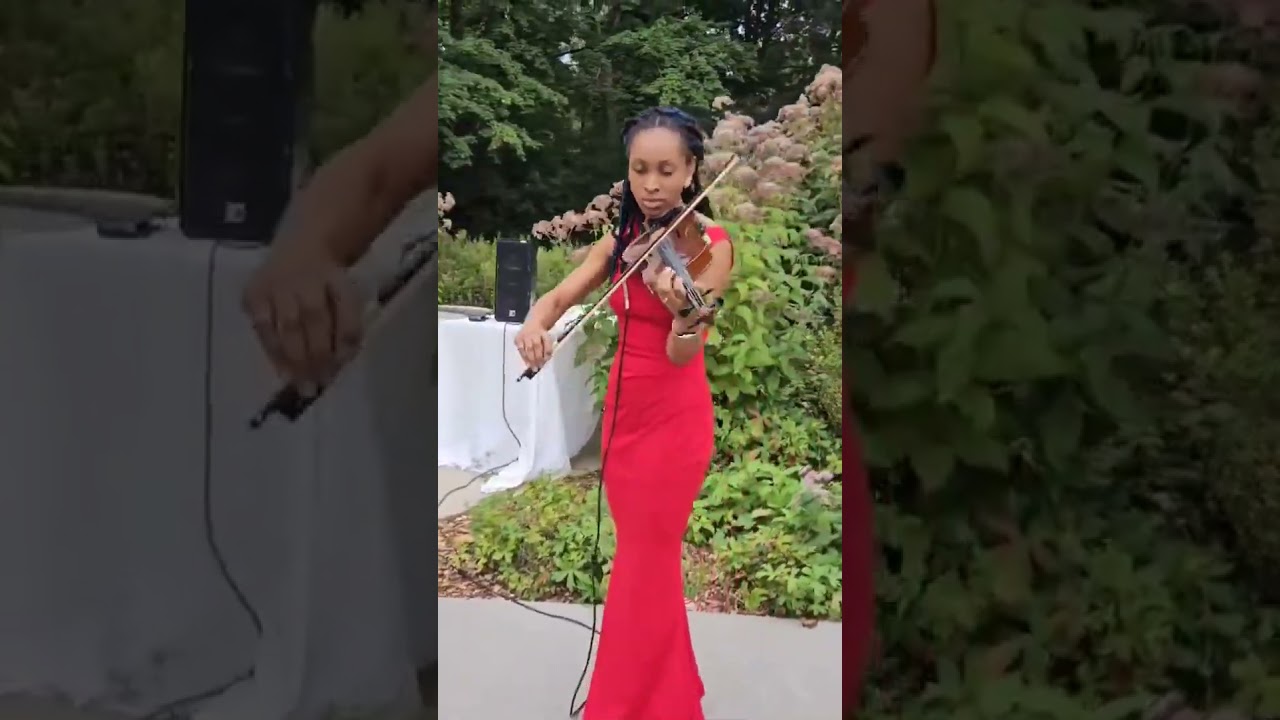 Promotional video thumbnail 4 for Enchanted Strings