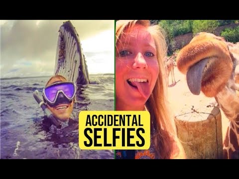 Top 10 Funny Selfies Gone Wrong | Dangerous Selfies Ever Taken | Worst Fails