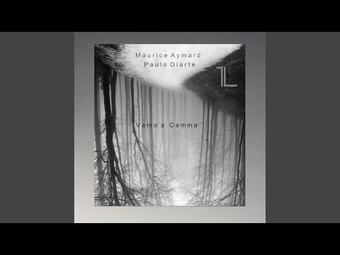 Vamo a Camina (Pellon Remix)