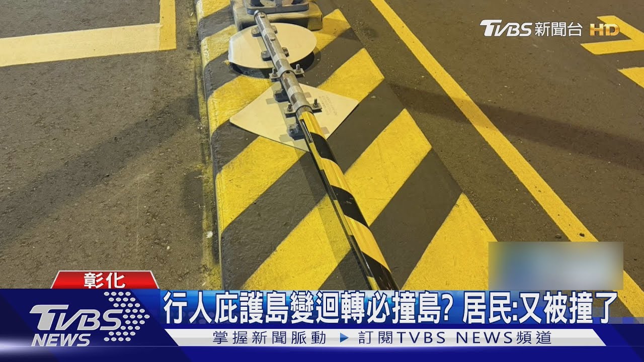 彰化「三寶捕捉器」庇護島太狂　7個月慘遭撞擊11次