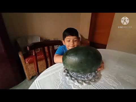 Watermelon,,🍉 pop stick....saiansh's special