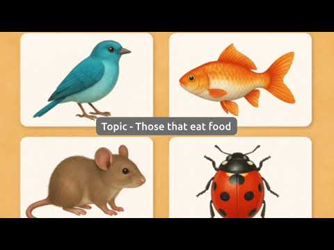 What’s in a Name? – Class 3 Mathematics video