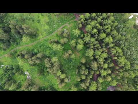 Stockpiling Food For Crisis: Tips And Tricks From The Experts