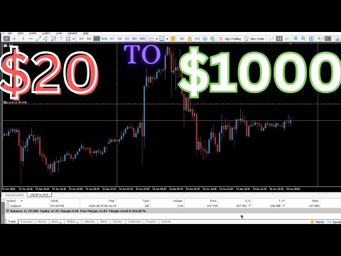 How To Grow $20 - $1000 In Forex Trading VOL1