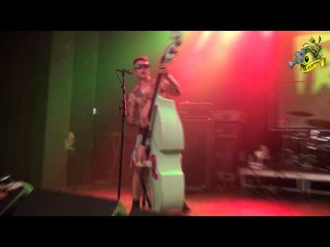 ▲Frogs - Ballad of the nerds - Psychomania Rumble 2014