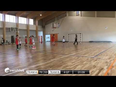 U12 8.forduló B csoport (Telki) BSC - Gödi Kiscicák