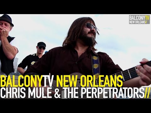 CHRIS MULE & THE PERPETRATORS - SHE GOES CRAZY (BalconyTV)