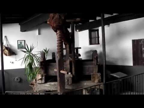 Blandy's Wine Lodge, Funchal, Madeira