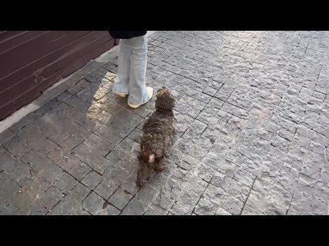 Er sah so verloren und traurig aus, ich hätte nie erwartet, was 15 Tage später geschah.