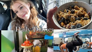 Daily Diaries ~ Part 4