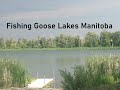 Video Thumbnail for Fishing Goose Lakes Manitoba