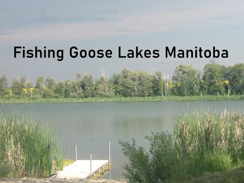 Fishing Goose Lakes Manitoba
