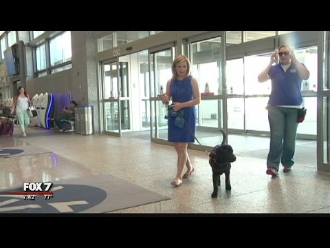 Pela cidade com Tommy: ABIA | 9/2016