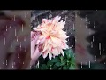 Rumantic Weather Ye Barish Ki Boonday