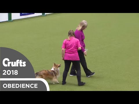 Inter-Regional Obedience - Reserve Class - Part 6 | Crufts 2018