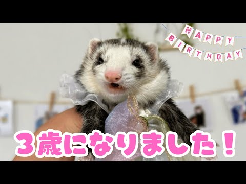 【LIVE】ケーキ3歳🎉 みんなで誕生日をお祝いしよう🎁