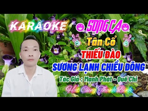 Karaoke 🎸 Tân Cổ 🎤🎤 SƯƠNG LẠNH CHIỀU ĐÔNG 🎤 Thiếu Đào { Hát Cùng Thanh Bình }