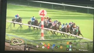 【競馬実況動画2026】第71回京成杯オータムハンデキャップ ピコローズ（三浦皇成）