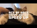 ace of bace - happy nation (~speed up~)