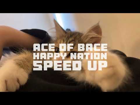 ace of bace - happy nation (~speed up~)