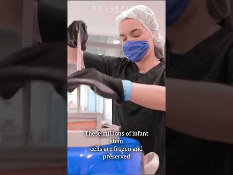 Why Patients Are Exploring Advanced Stem Cell Therapy Procedures in Mexico?