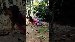 Download lagu cuman di toel sedikit😭 #snake mp3 Download lagu cuman di toel sedikit😭 #snake mp3