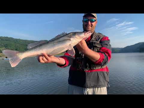 Jezero Celije! Big zander fishing!!!