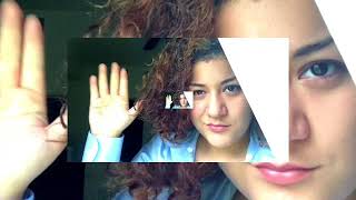 "The Mothman Song" Fan Video