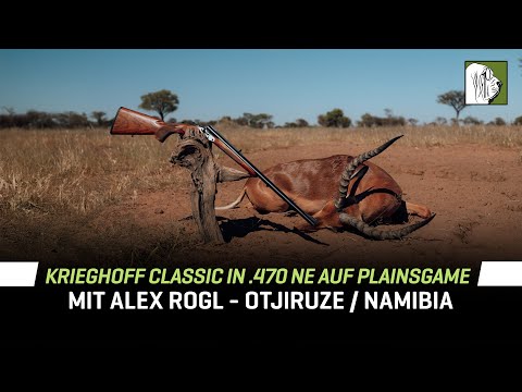 Mit der Krieghoff Classic in .470 NE auf Plainsgame -  Alex Rogl / Otjiruze Namibia