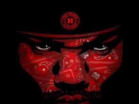 Tsunami trap video promo