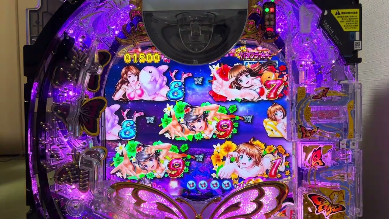 南国育ち　デカパトver