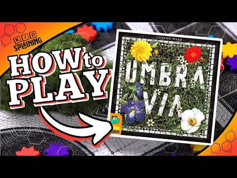 Umbra Via - How to Play | Family Friendly Game Tutorial | Learn to Play Umbra Via Pandasaurus Games