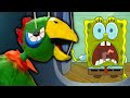 The Original Potty The Parrot Was RUINED In A SpongeBob Promo