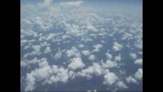 We Die And See Beauty Reign