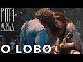 Pitty - O Lobo (ACNXX Ao Vivo em Salvador)